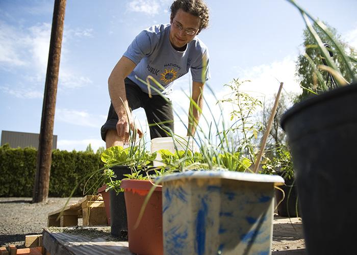 Urban farming challenges urban spaces accepted notions of utility, practices