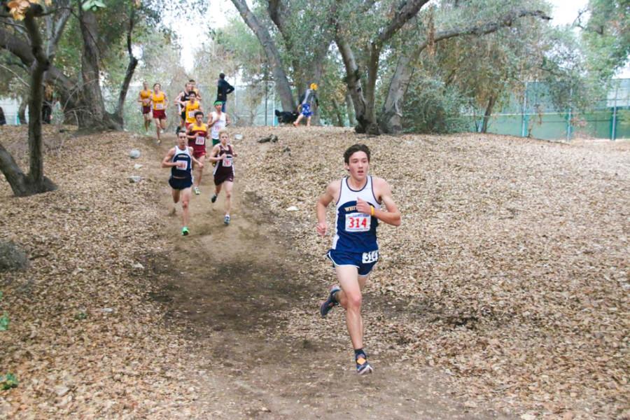 Cross Country Finishes Strong at Regionals