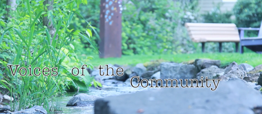 Issue 11: Voices From The Community