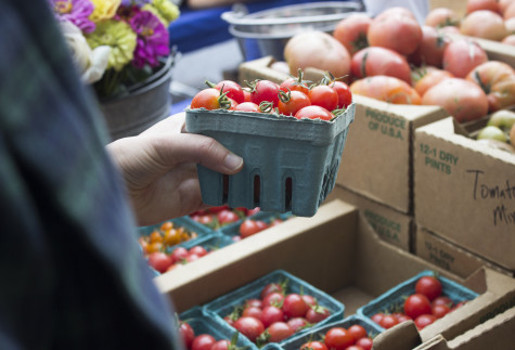 Glean Team and Organic Garden help fight hunger in community