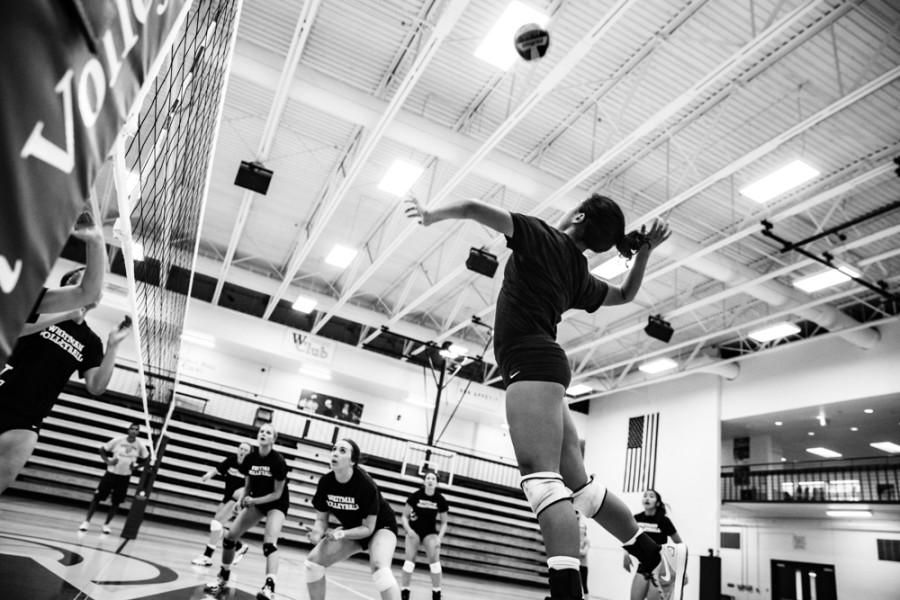 Whitman+Volleyball+Looks+for+a+New+Beginning+in+2015