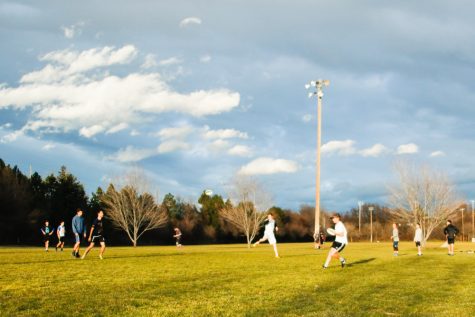 Frisbee Teams Gearing up for Sweet Seasons