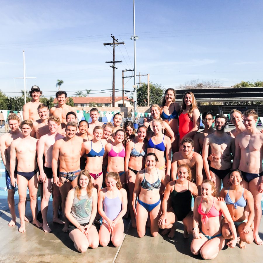 Four Swimmers Share Stories from Training Trip Whitman Wire