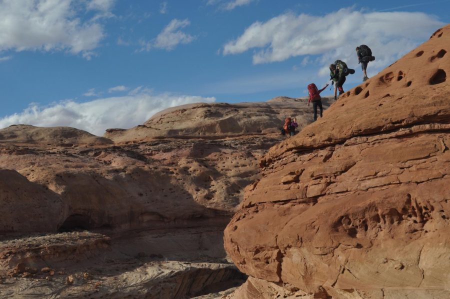 The Canyonlands in Utah. Photo contributed by Reza Darvish.