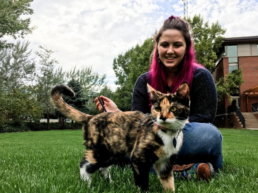 Phyllis Pawa and her cat Scout play on the Reid side lawn. 