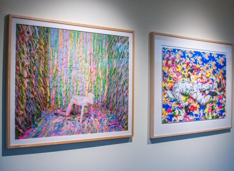 Gina Osterloh’s “Dots Front Misfire” and Ebony Patterson’s “Untitled (Among the weeds, plants, and peacock feathers)” are juxtaposed on the third floor.