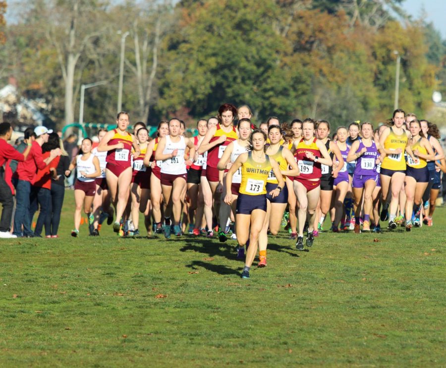 Women%E2%80%99s+cross+country+takes+first+in+NWC+conference