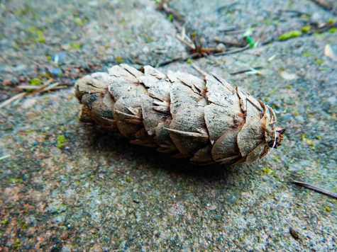 Photo essay: Textures