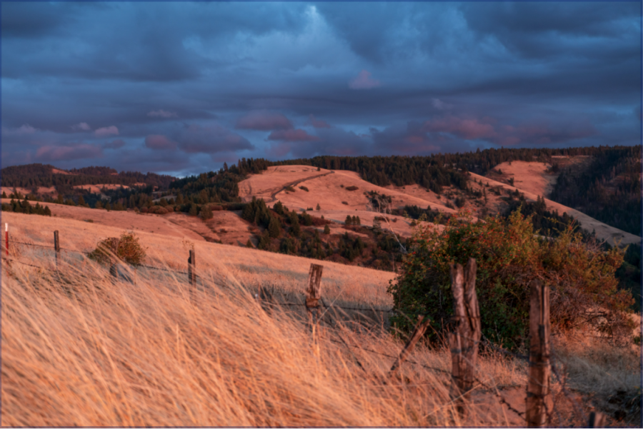 The foothills of the Blue Mountains. 