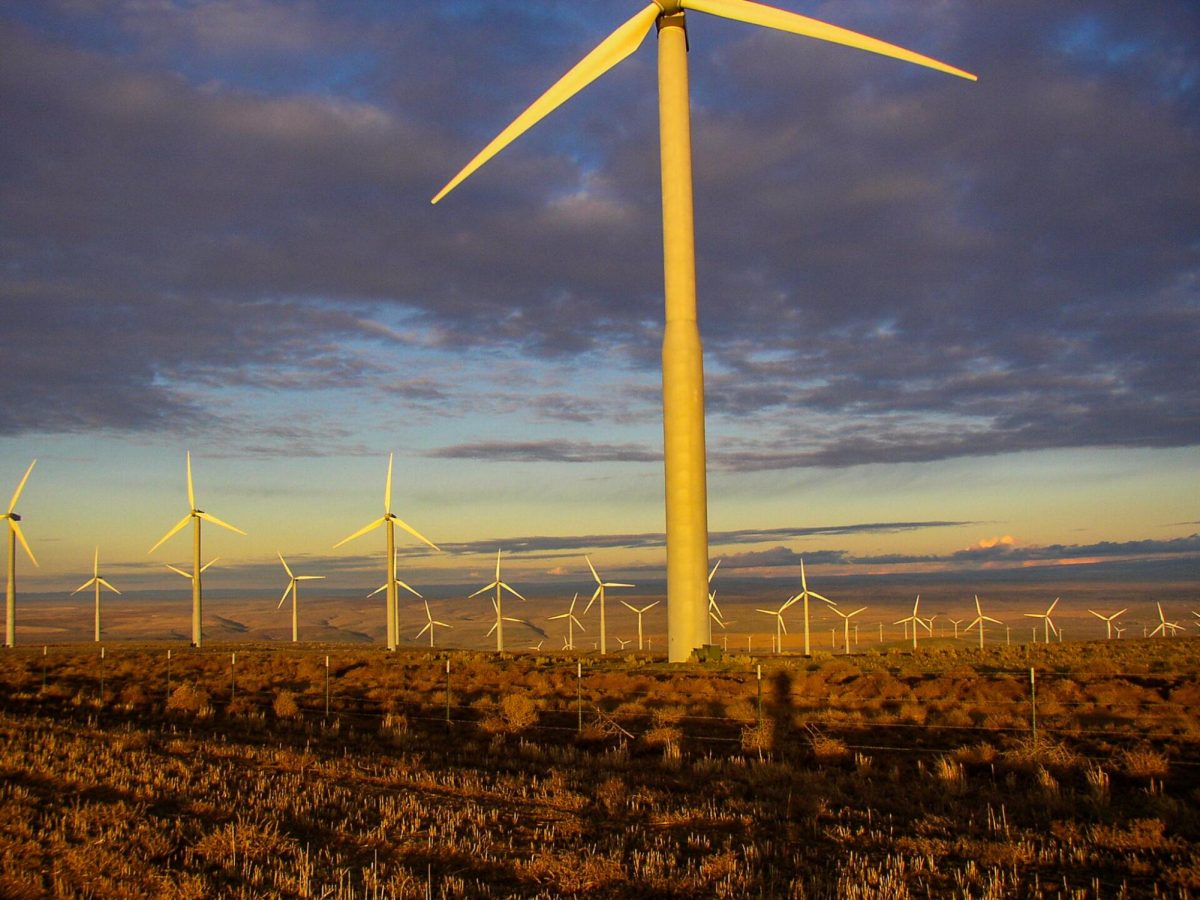 Turbines on the Horizon? Whitman’s Sustainability Vision Faces Winds of Change