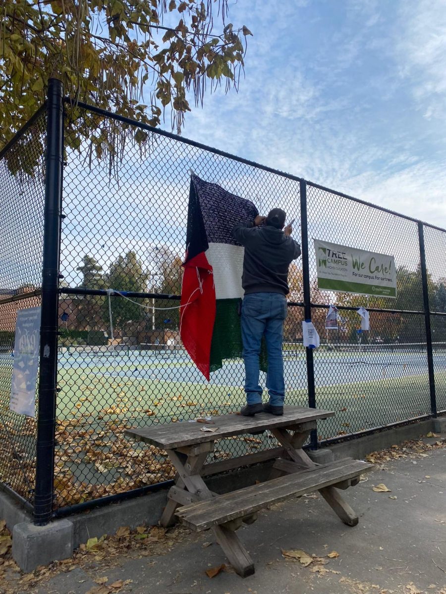 A Facilities Worker removes a Palestinian flag hanging on the Tennis Courts. 