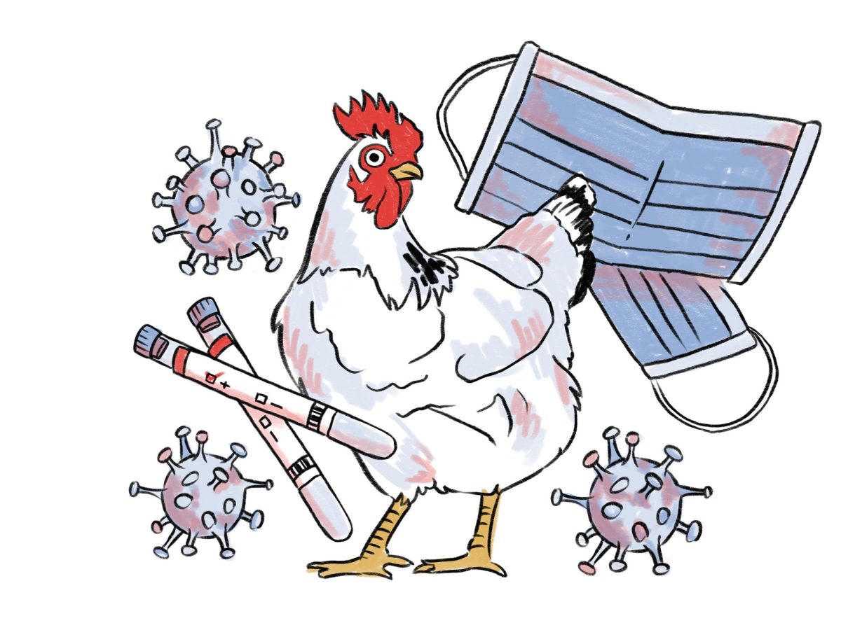 Bird Flu Cases Prompts Caution in Walla Walla County