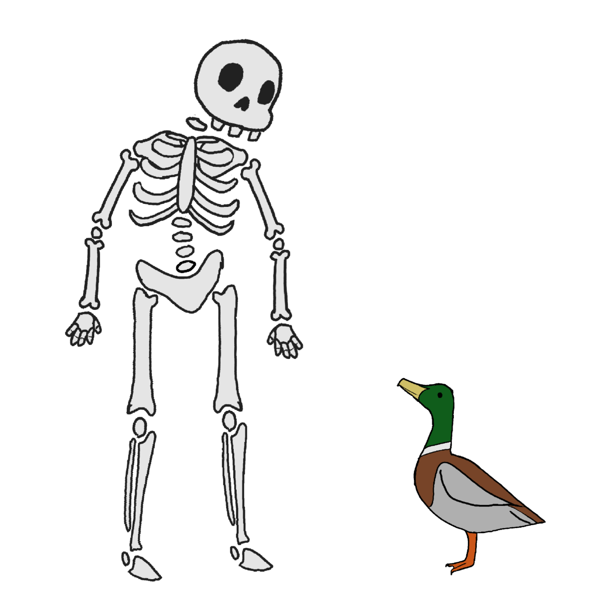 Reports of Animated Skeletons Sticking Around after Halloween