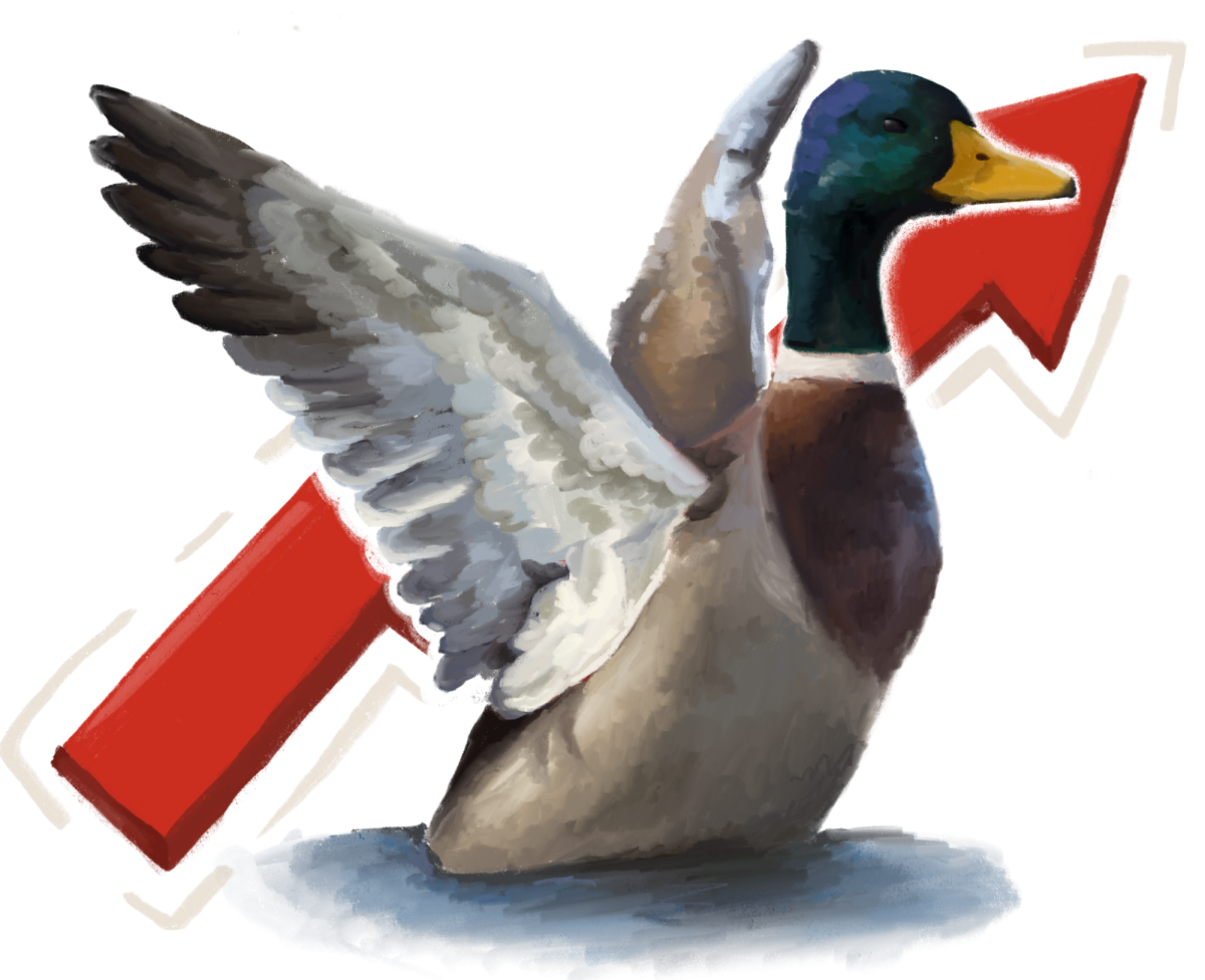 Mounting Fears of Duck Tariffs Arising