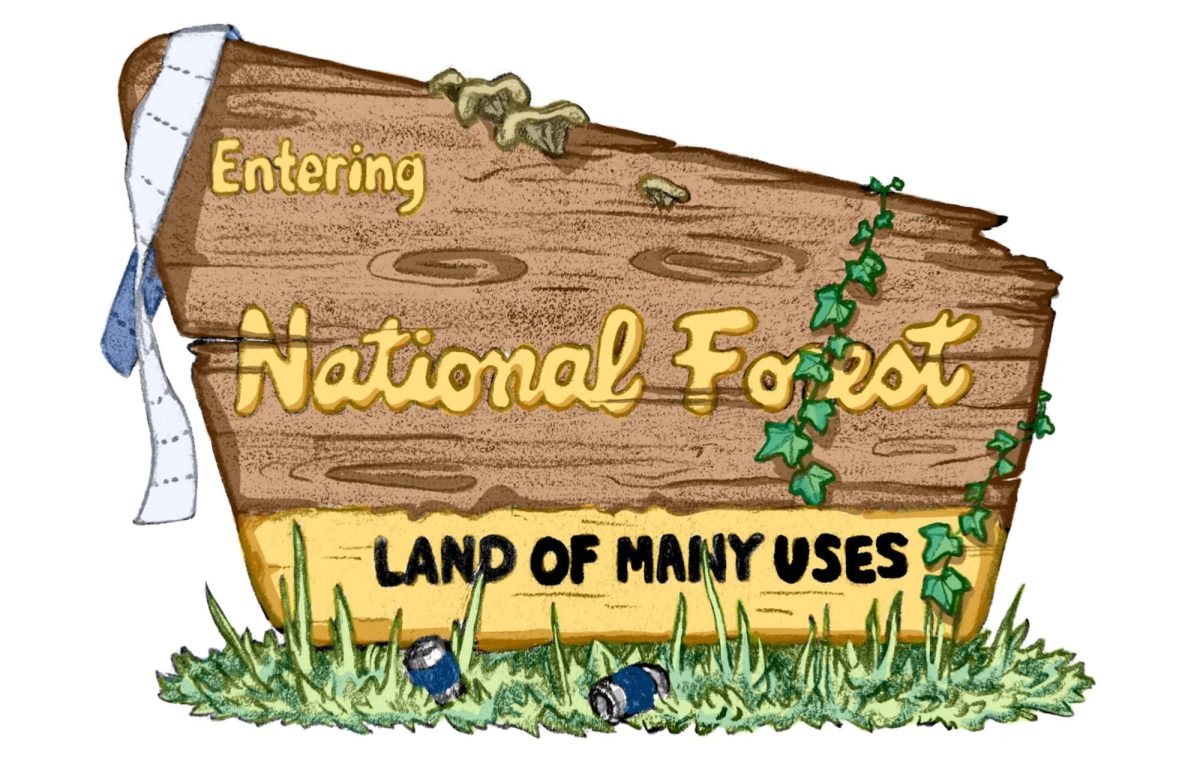 National Park Service Staff are Slashed: DOGE’s Scheme to Shrink the Federal Workforce