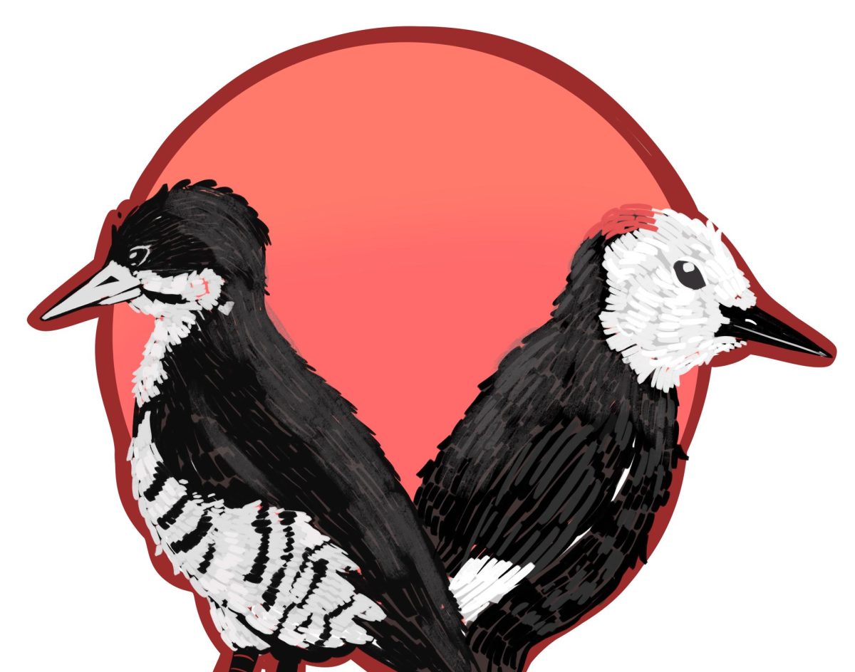 Illustration by Genesis Lobos.