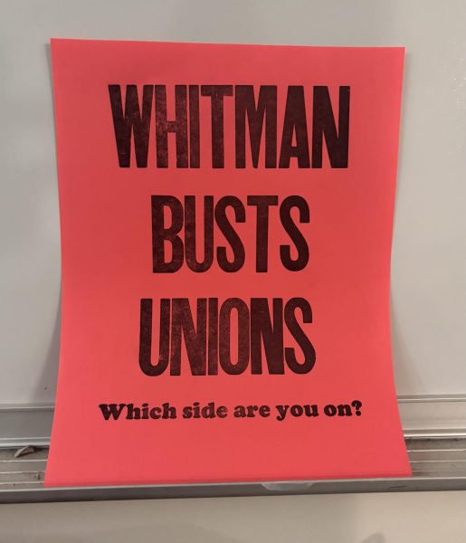 A flyer posted in Olin Hall.