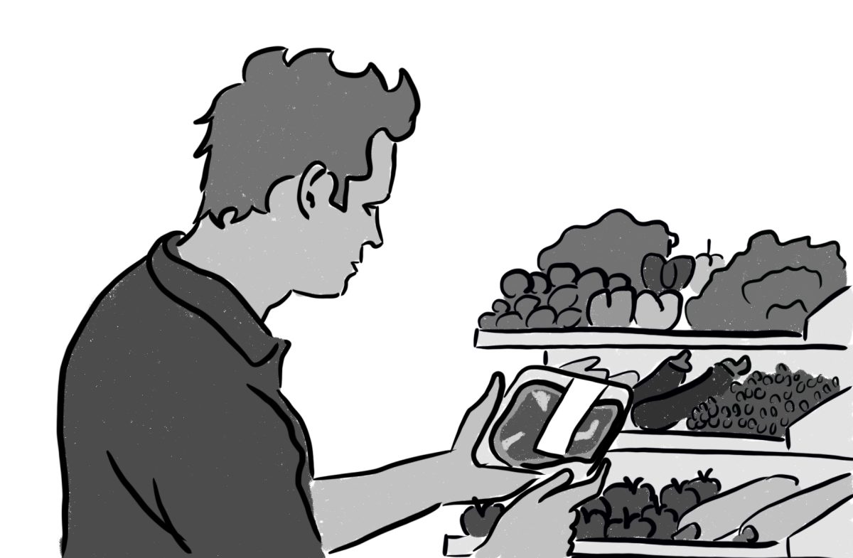 Illustration by Lucas Pinaire.